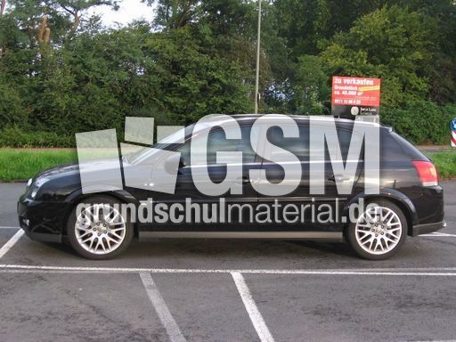 Opel Signum_1.JPG